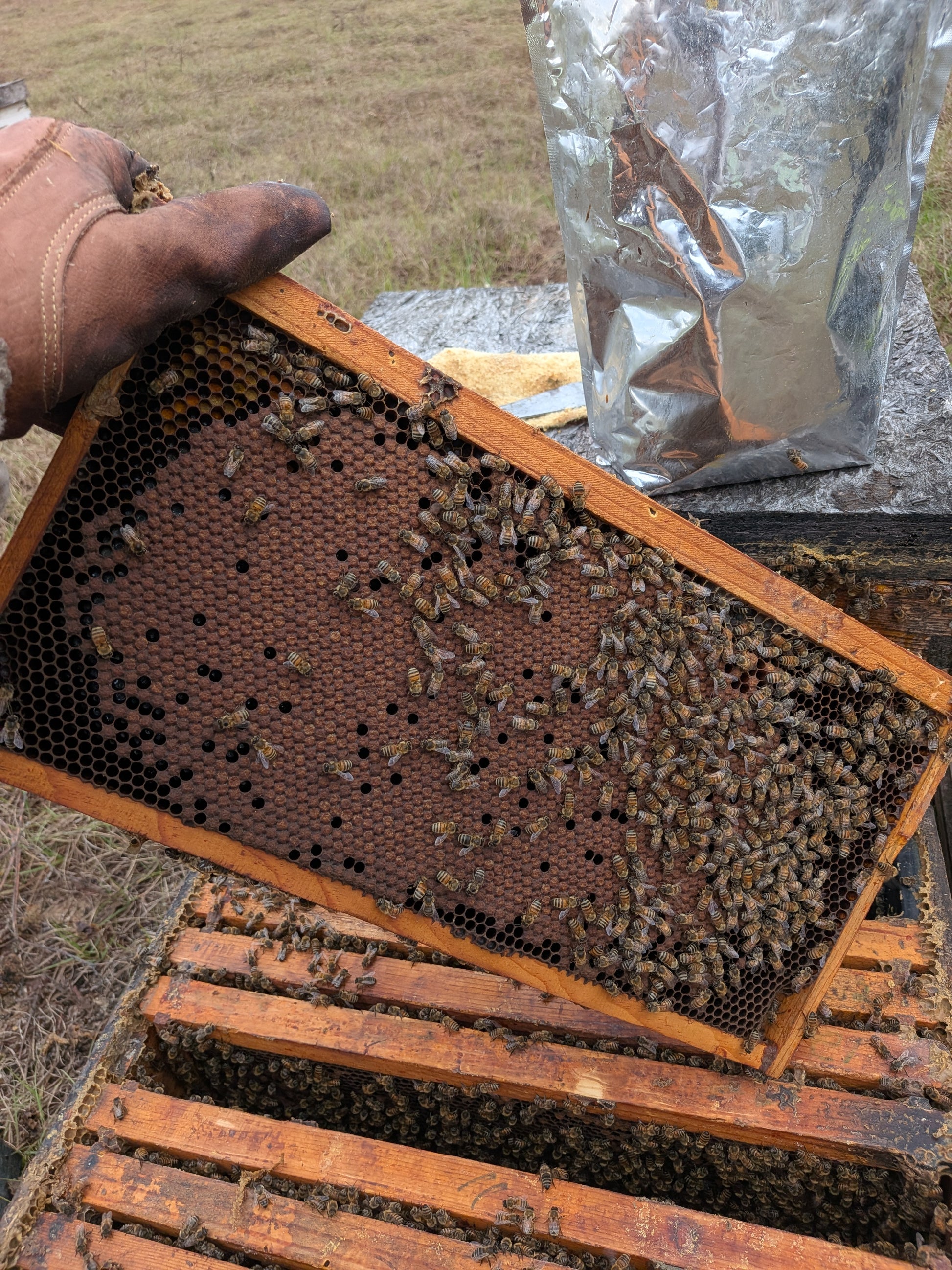 2026 March Starter Nucs 5 Frame ($25 Deposit)