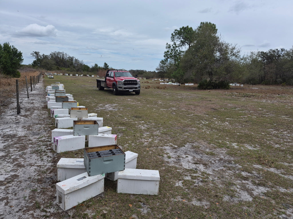 2026 March Starter Nucs 5 Frame ($25 Deposit)