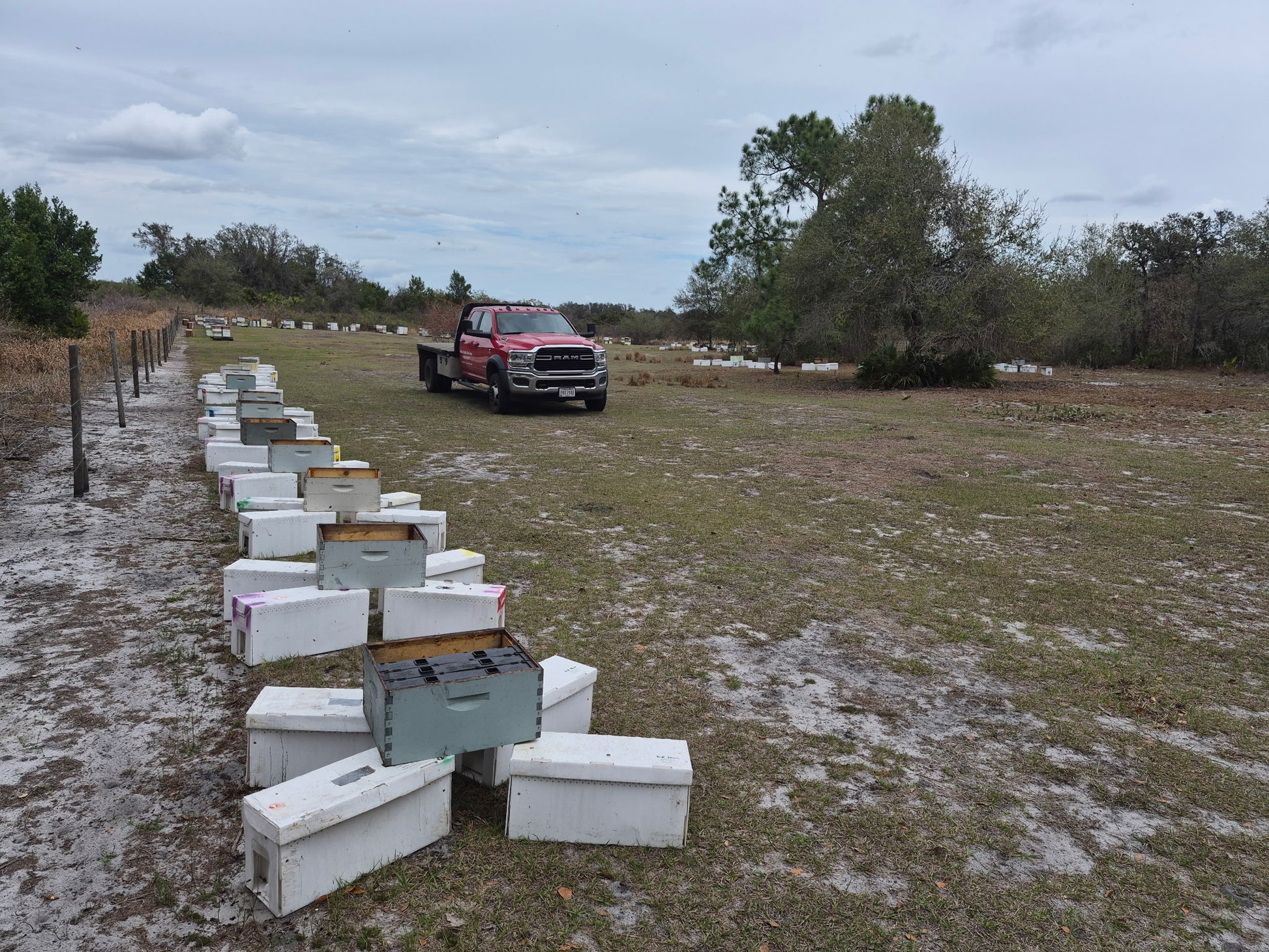 2026 March Starter Nucs 5 Frame ($25 Deposit)